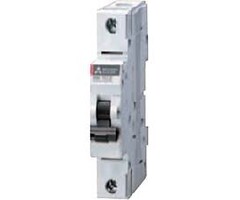 Mitsubishi BHW-T10 1P+N Type D 5A