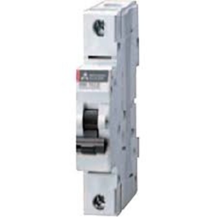 Mitsubishi BHW-T10 1P+N Type D 5A