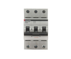 Mitsubishi BHW-T10 3P Type D 1A