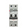 BHW-T10 2P Type D 40A