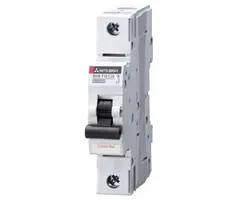 Mitsubishi BHW-T10 1P+N Type C 10A