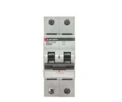 Mitsubishi BHW-T10 2P Type C 40A