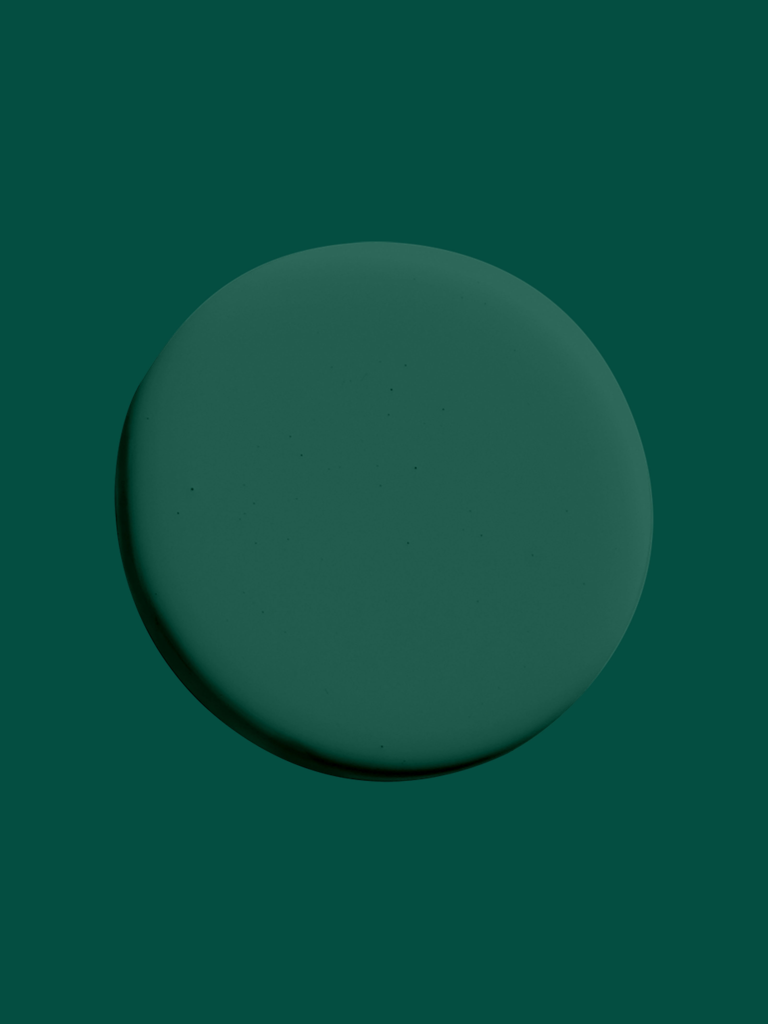 Rock N' Roll KC17 (TR)