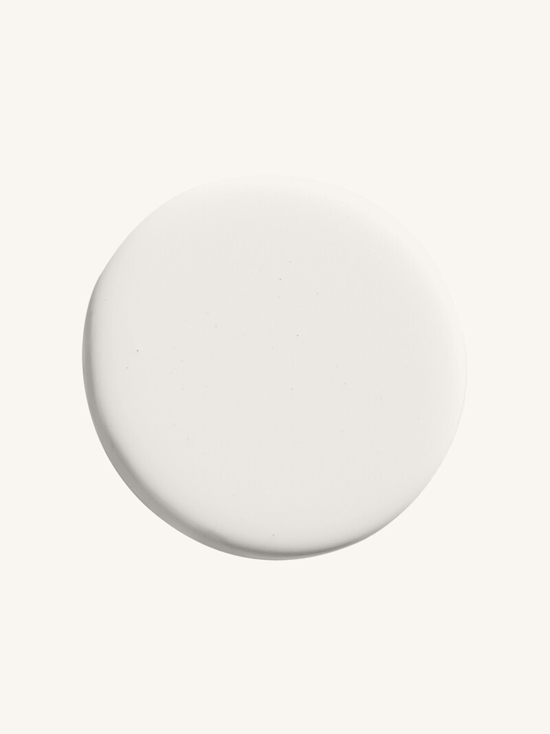 Moon ES01 (P)