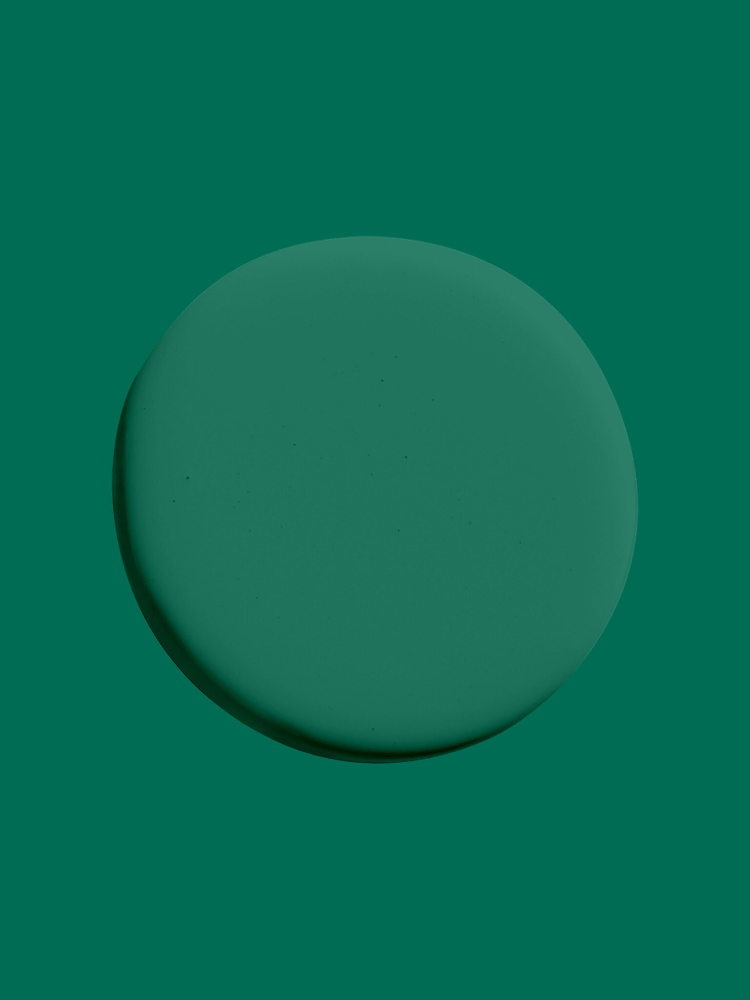 In The Woods KC16 (TR)