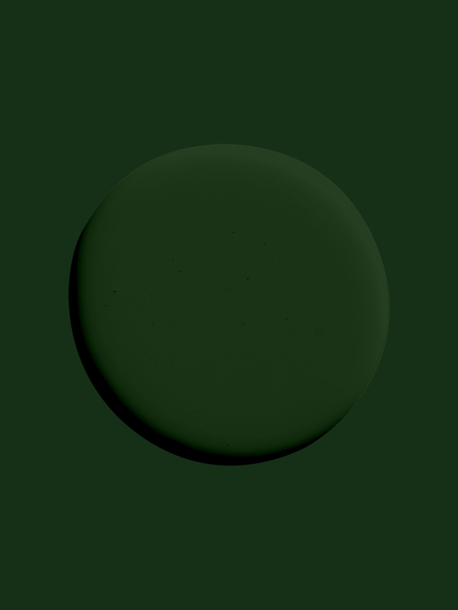 Rainforest ES12 (TR)