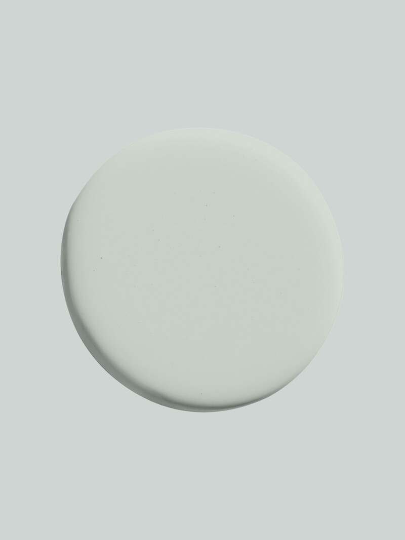 Silver Sage ES21 (P)