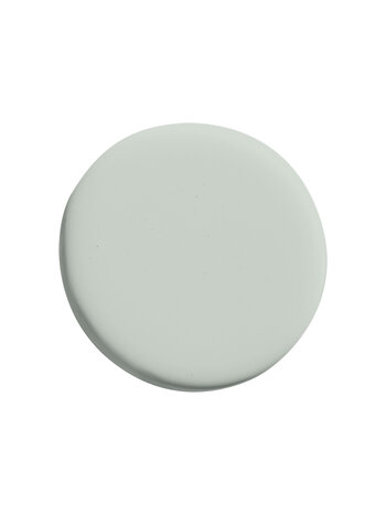 Silver Sage ES21 (P)