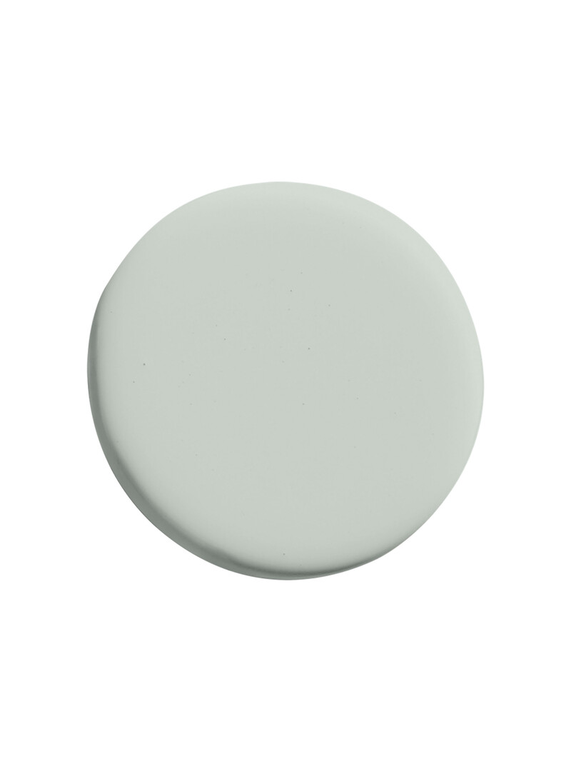 Silver Sage ES21 (P)