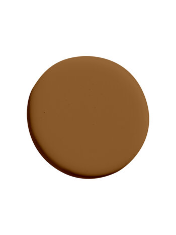Rust ES41 (TR)