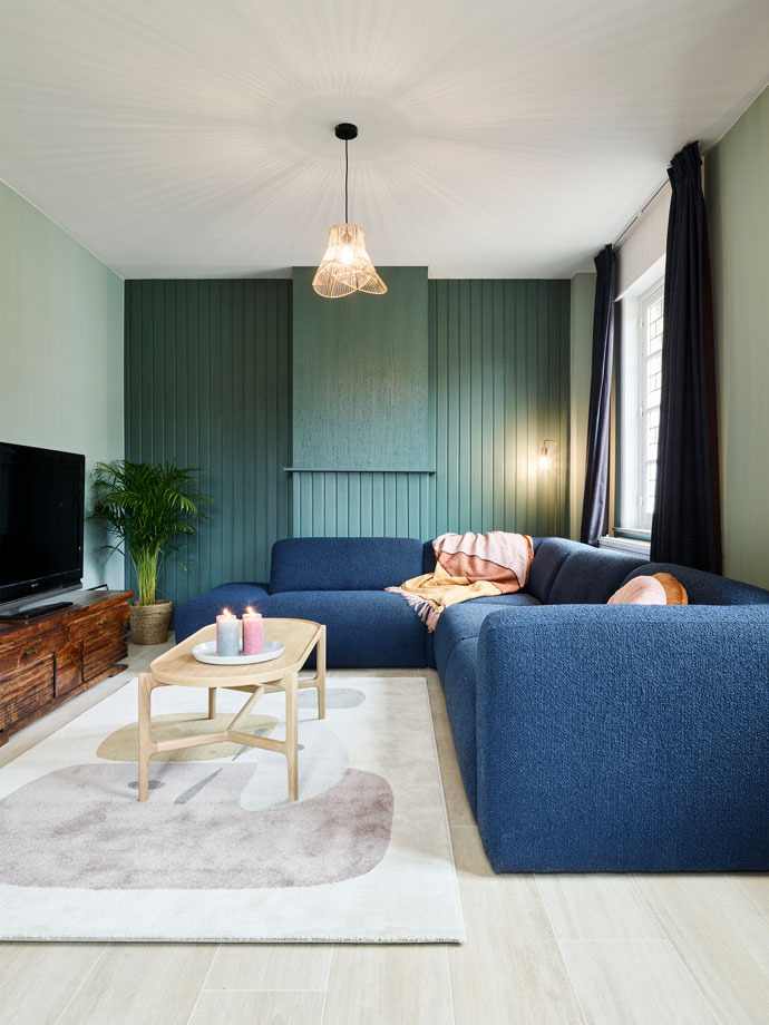 Forest Fern ES16 (TR)