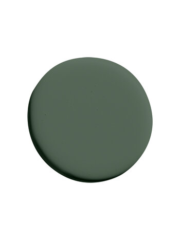 Aloe Vera ES13 (D) - Superior Wall Paint Ultra Matt 5L
