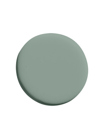 Sassy Snake ES14 (D) - Superior Wall Paint Ultra Matt 5L