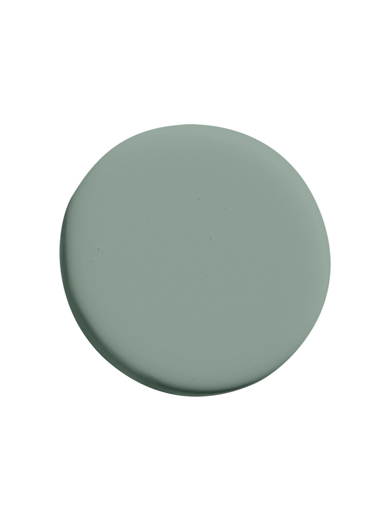 Sassy Snake ES14 (D) - Superior Wall Paint Ultra Matt 5L