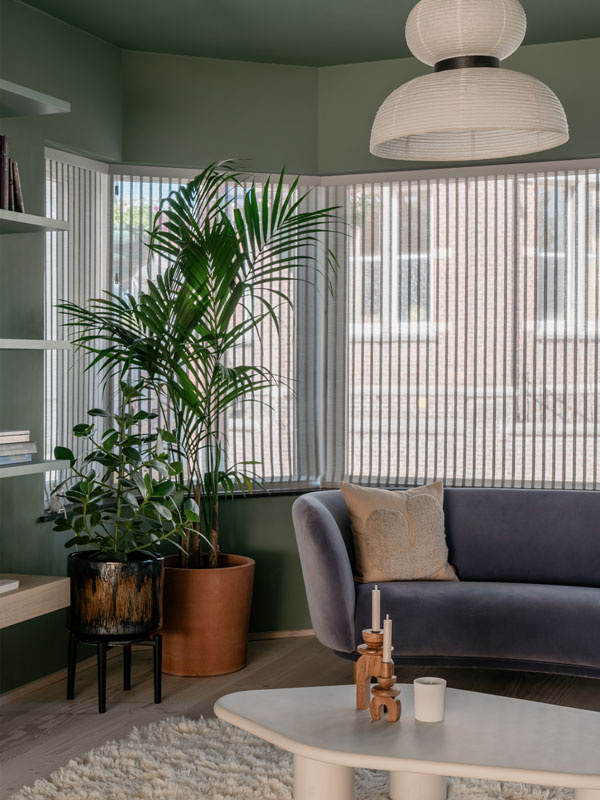 Sassy Snake ES14 (D) - Superior Wall Paint Ultra Matt 5L