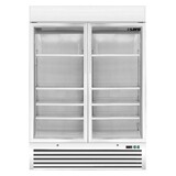 Saro Vrieskast met ventilator koeling 2 glasdeuren model d 920 Saro Vrieskast met ventilator koeling 2 glasdeuren model d 920