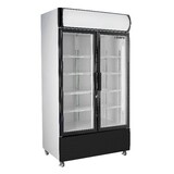 Saro Flessenkoeler met dubbele glasdeur model gtk 580