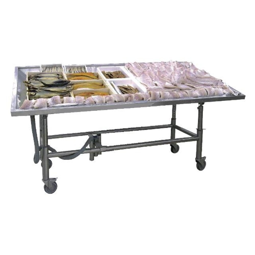 Saro Vispresentatietafel model modp 1100 | 498-1000 Saro Vispresentatietafel model modp 1100 | 498-1000