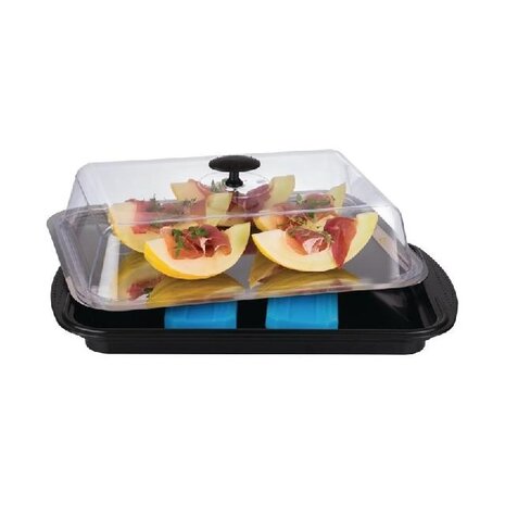 Aps Gekoelde buffetdisplay rechthoekig 430x290mm | FT265 Aps Gekoelde buffetdisplay rechthoekig 430x290mm | FT265