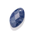 Sparkling Jewels Sparkling Jewels  Sodalite Leaf hanger edelsteen PENGEM20-FCT-S