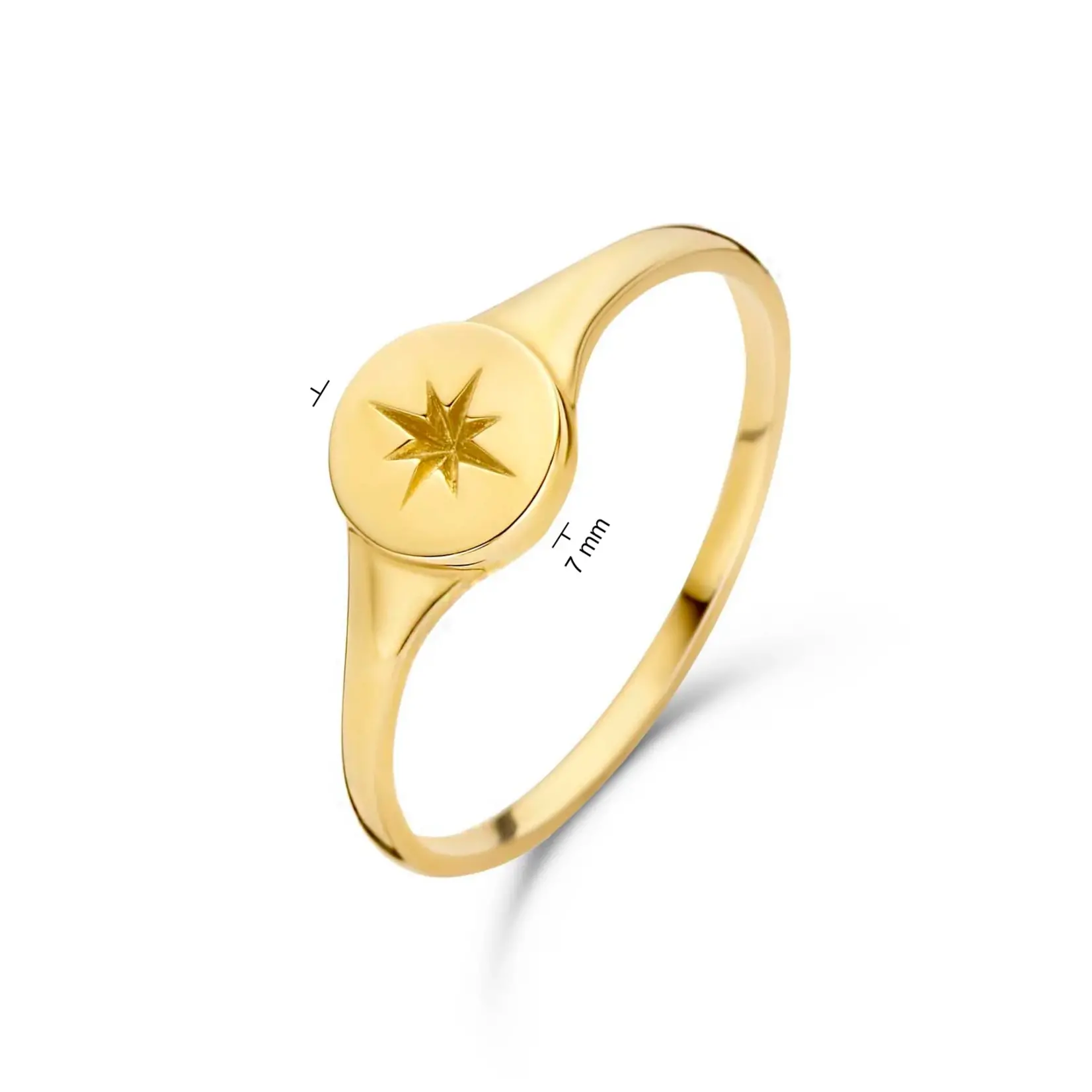 Jackie  Gold Jackie ring Star Signet JKR20.072 maat 17,25 (54)