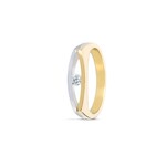 R&C DIAMONDS R&C bicolor briljant ring Juliette h-p1 0.04ct maat 17,5 (55)