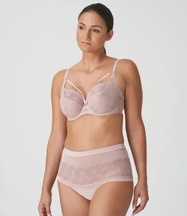 Sophora Hotpants - Bois De Rose