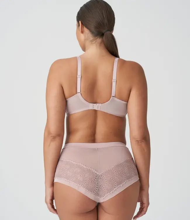 Sophora Hotpants - Bois De Rose