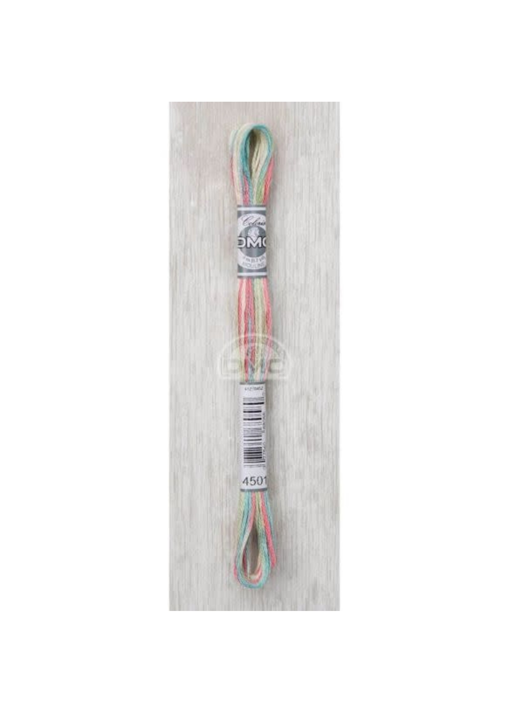 DMC DMC Mouliné Coloris - Roze, Blauw, Groen (4501)