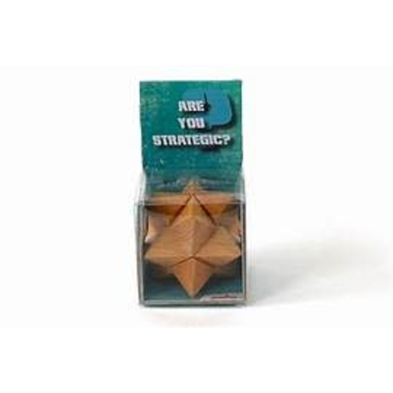 Recent Toys Recent Toys- Are You Strategic? Classic Wooden Puzzle