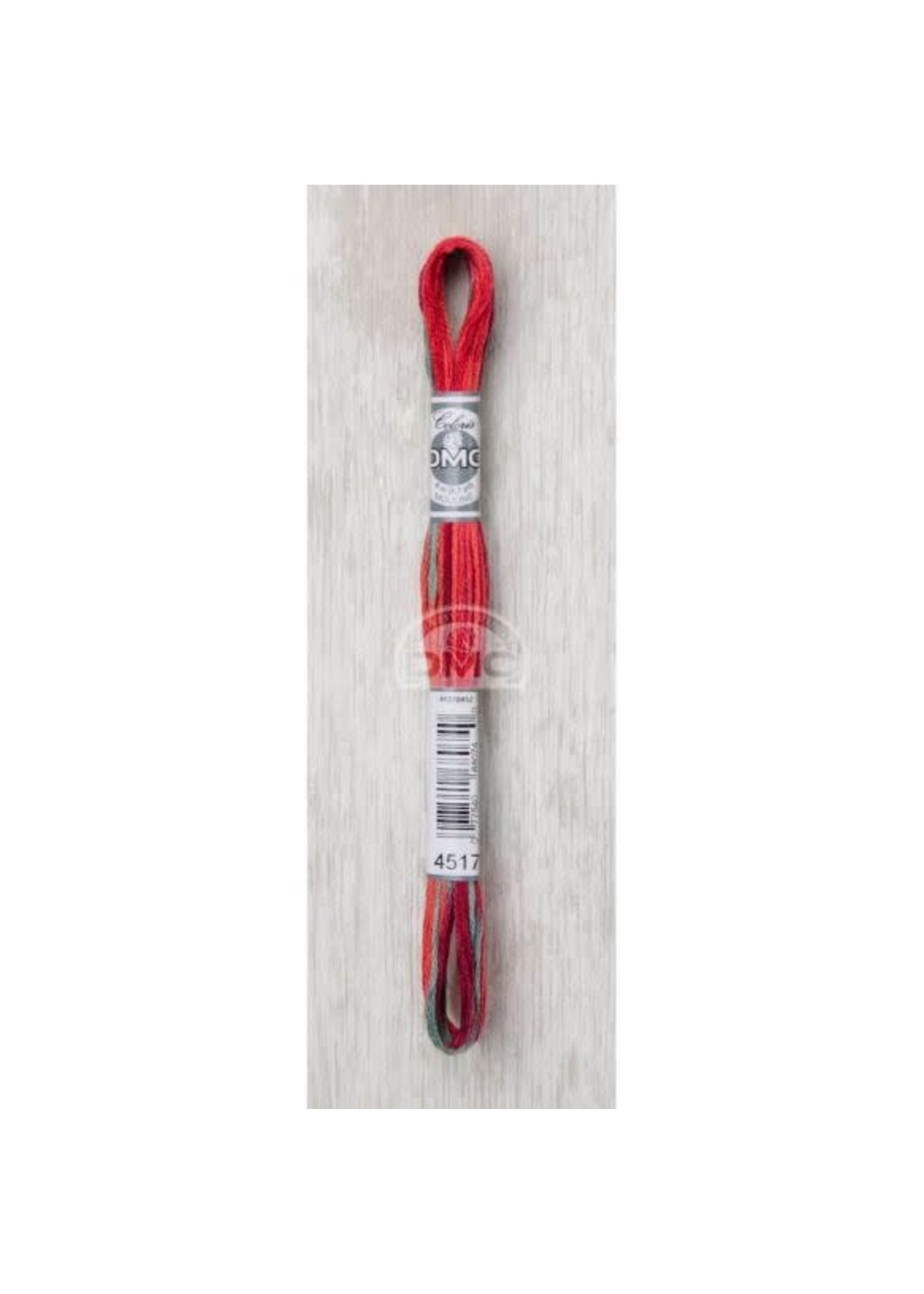 DMC DMC Mouliné Coloris - Rood, Groen (4517)