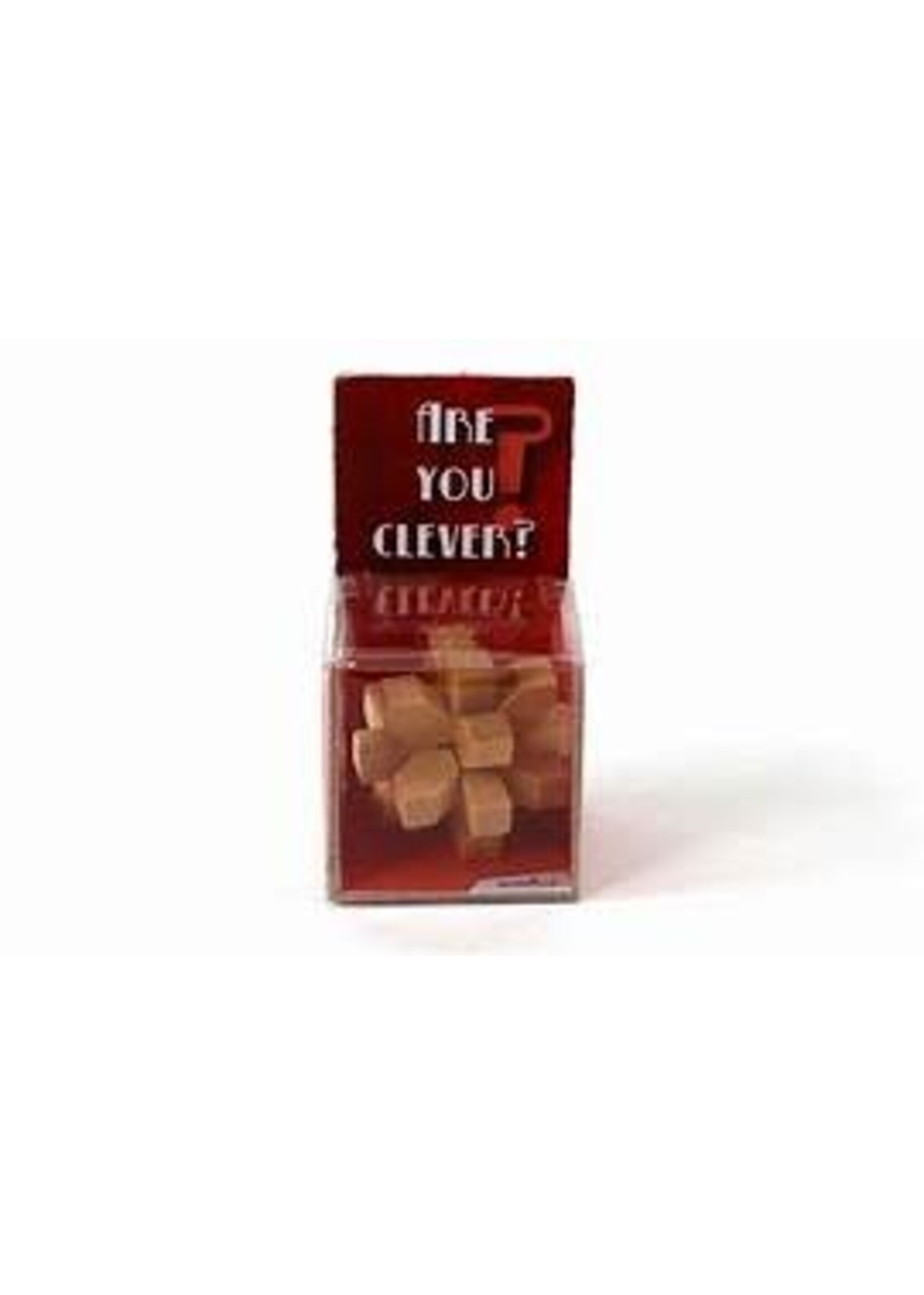 Recent Toys Recent Toys Are You Clever? Classic Wooden Puzzel