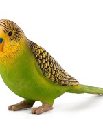 Mojo Mojo Budgerigar Green