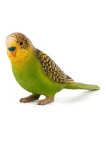 Mojo Mojo Budgerigar Green
