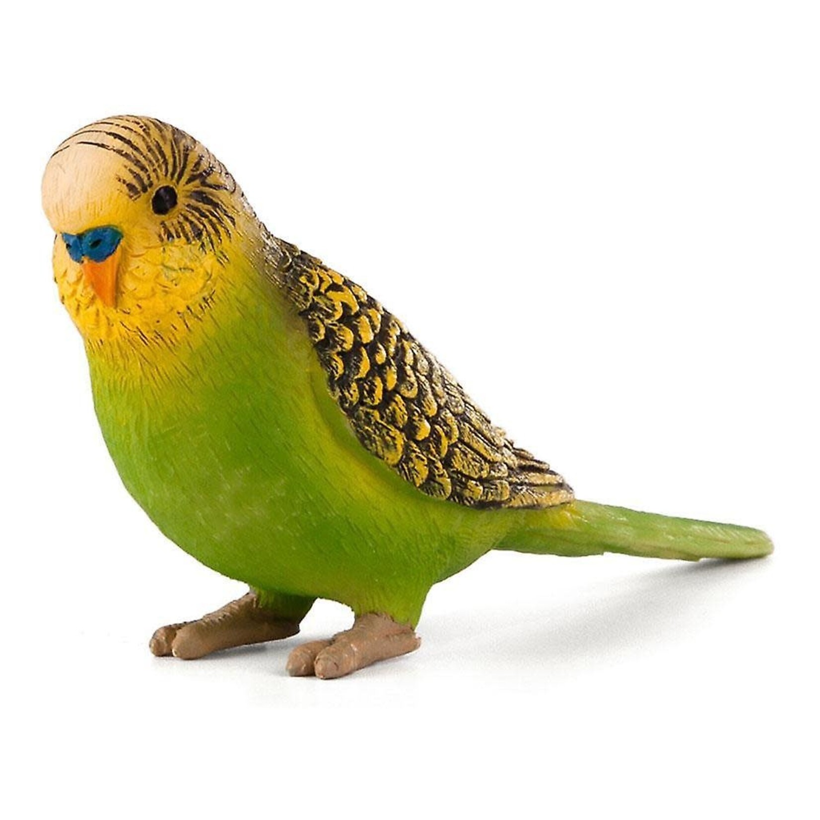 Mojo Mojo Budgerigar Green