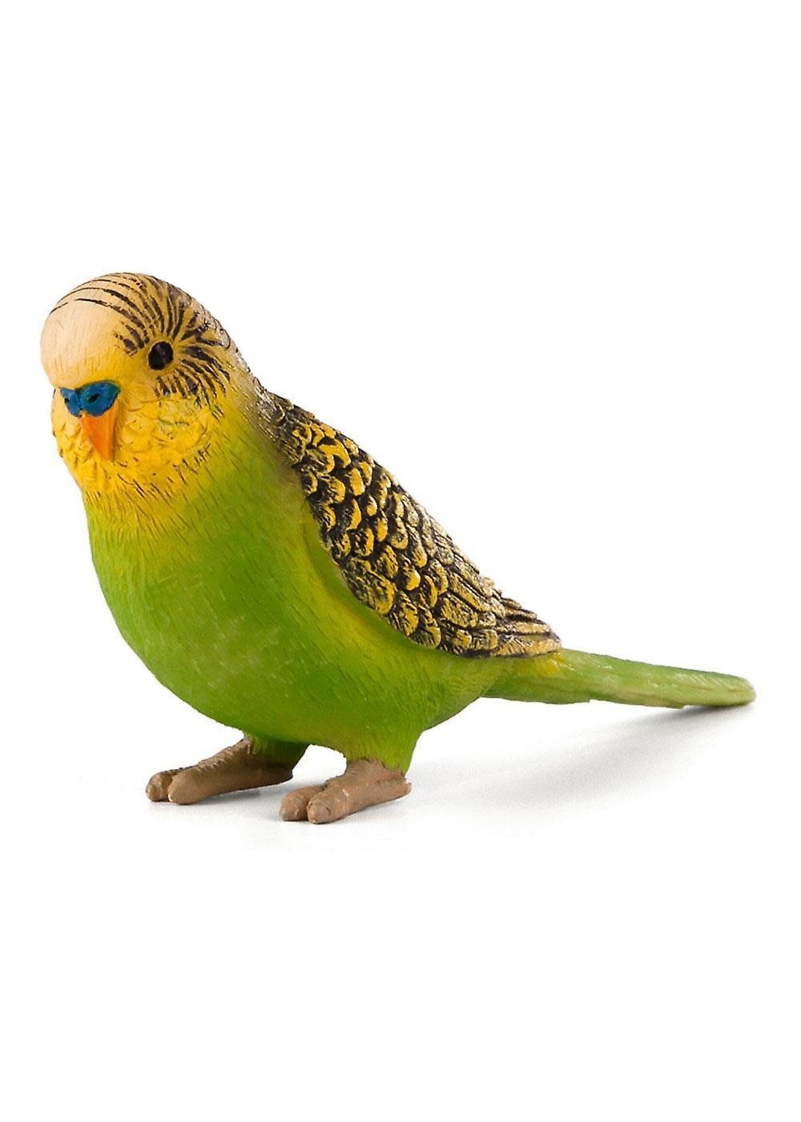 Mojo Mojo Budgerigar Green