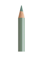 Faber-Castell Faber-Castell Polychromos potlood - Aardegroen (172)