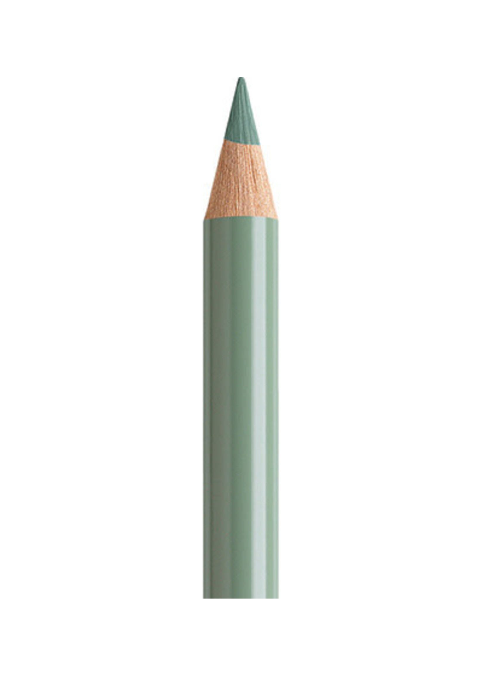 Faber-Castell Faber-Castell Polychromos potlood - Aardegroen (172)