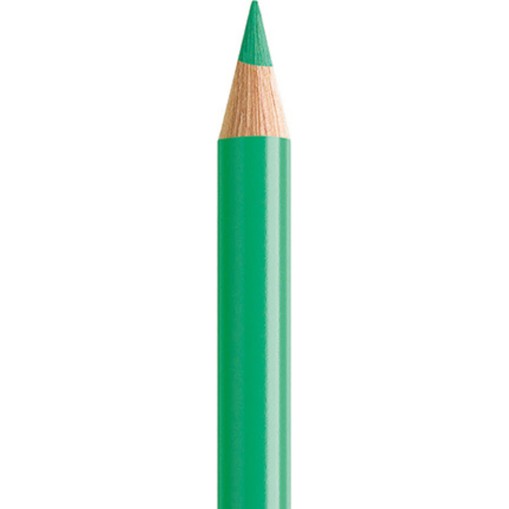 Faber-Castell Faber-Castell Polychromos potlood - phthalogroen licht (162)