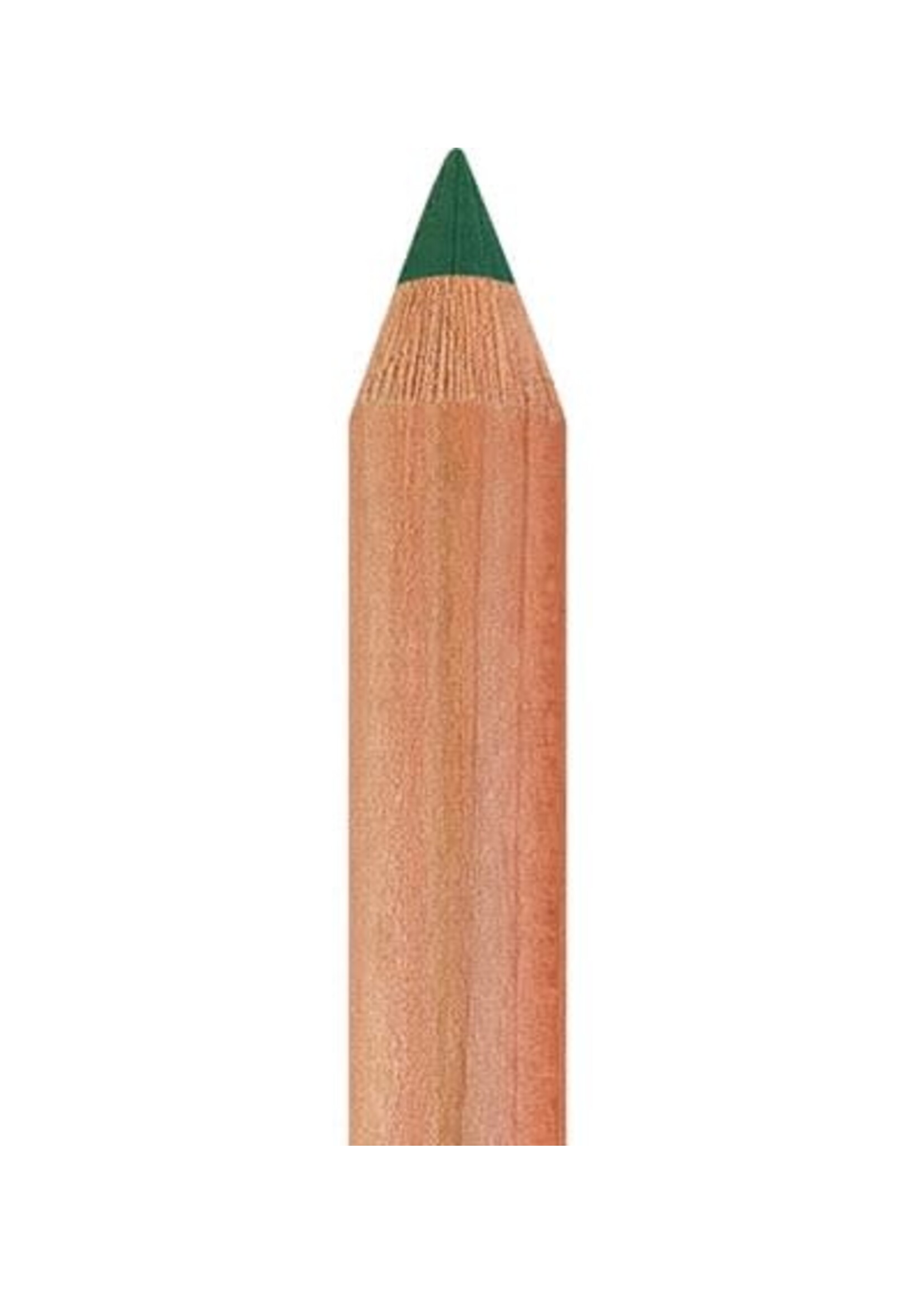 Faber-Castell Faber-Castell Pastelpotlood - Dennengroen (267)
