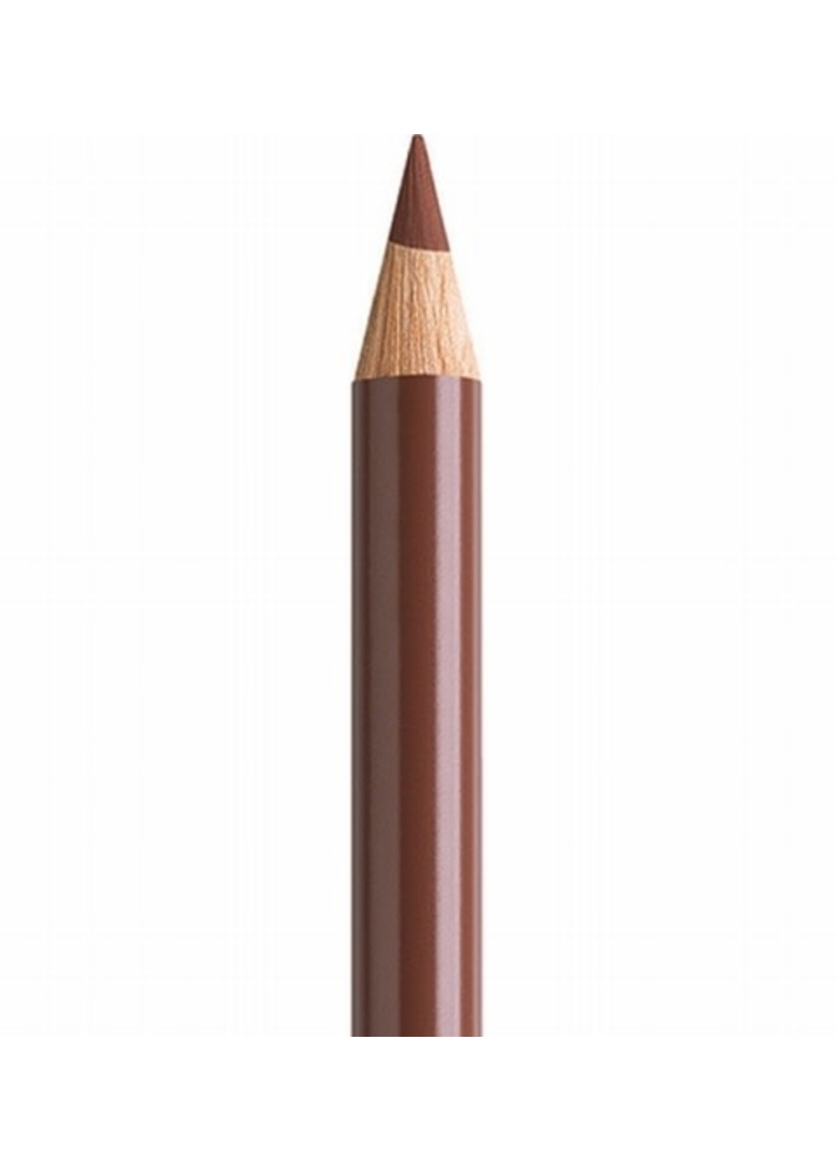 Faber-Castell Faber-Castell Polychromos potlood - Gebrande sienna (283)