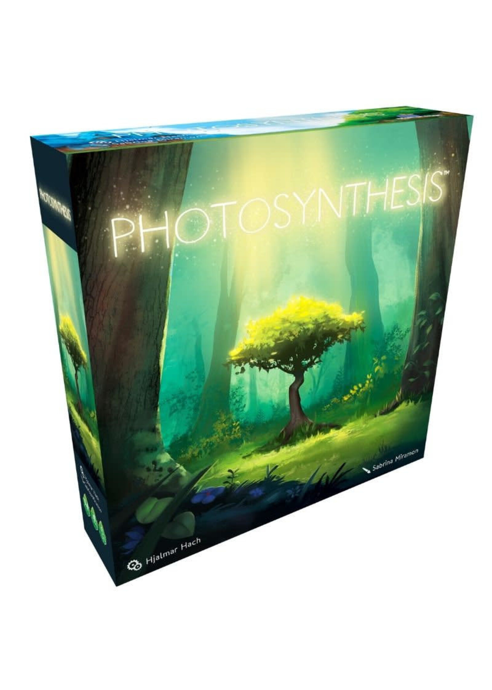 Blue Orange Blue Orange - Photosynthesis