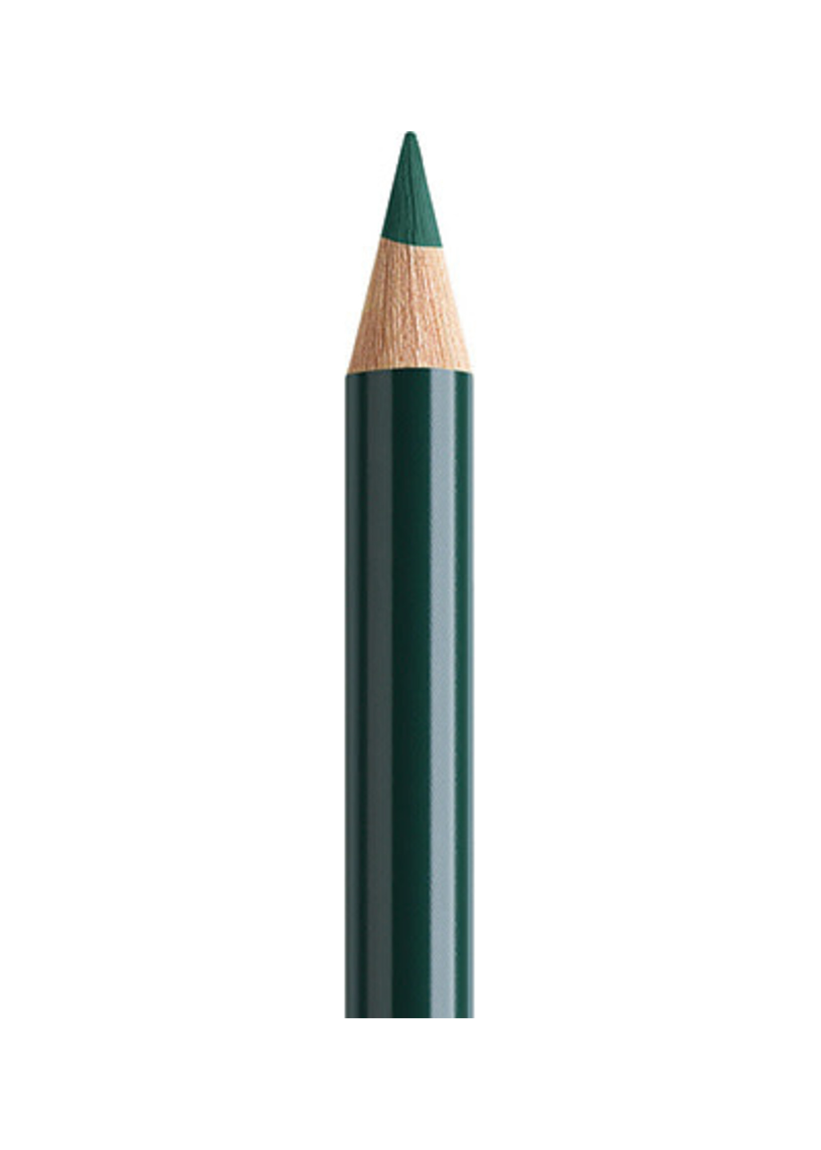 Faber-Castell Faber-Castell Polychromos potlood - Dennengroen (267)