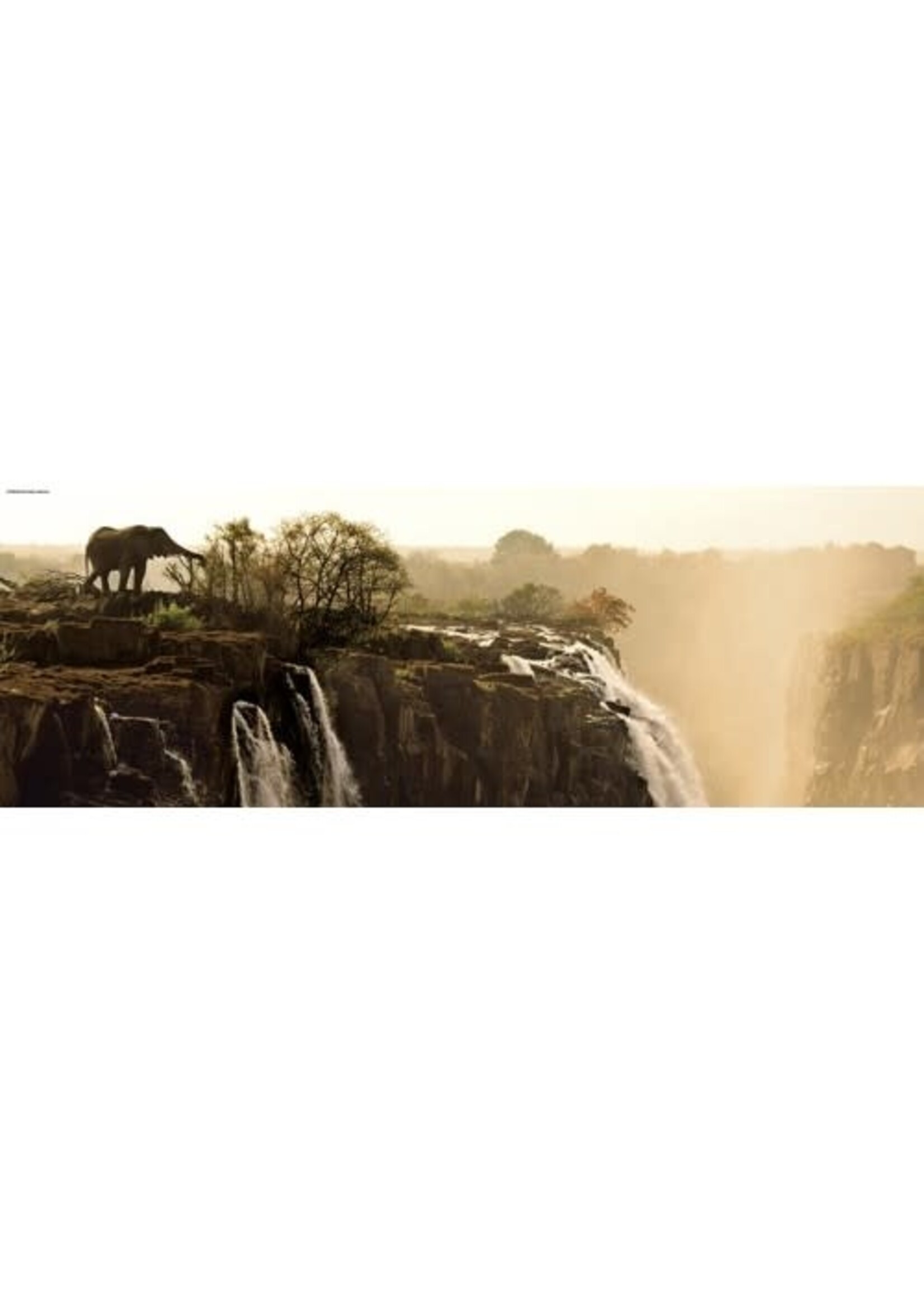 Heye Heye puzzel Panorama Elephant  (1000 stukjes)