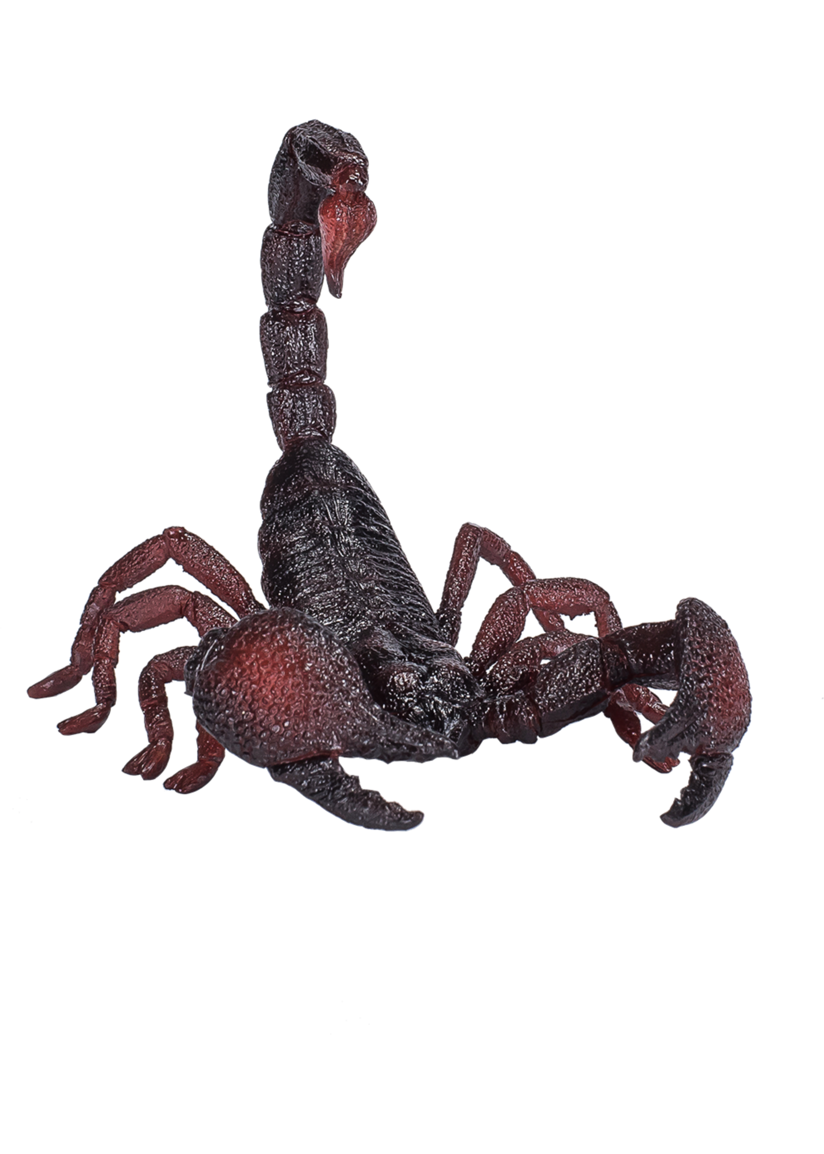 Mojo Mojo Emperor Scorpion