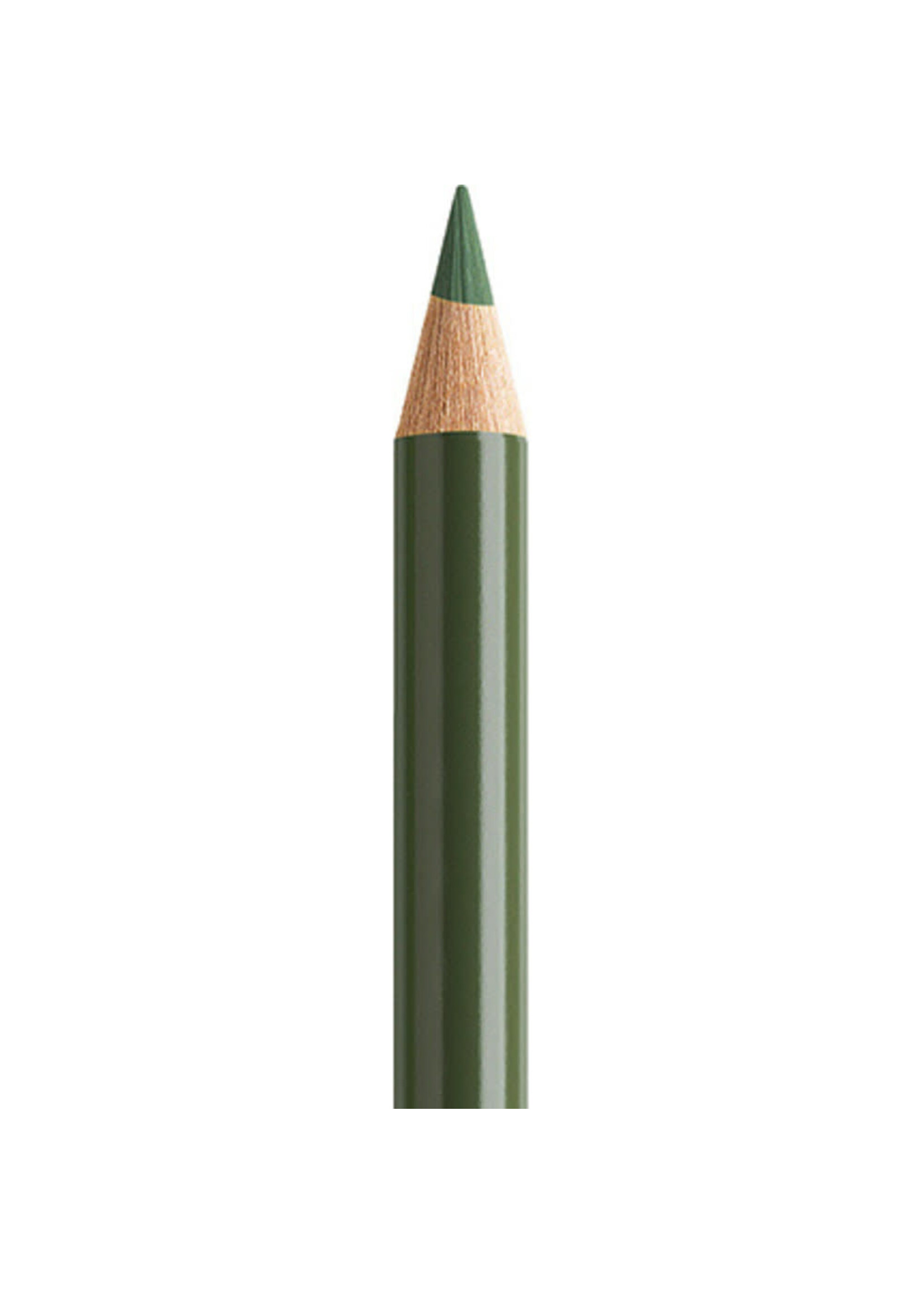 Faber-Castell Faber-Castell Polychromos potlood - Chroomgroen (174)