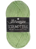 Scheepjes Scheepjes - Scrumptious 100 gram Pistachio Bundt Cake (318)