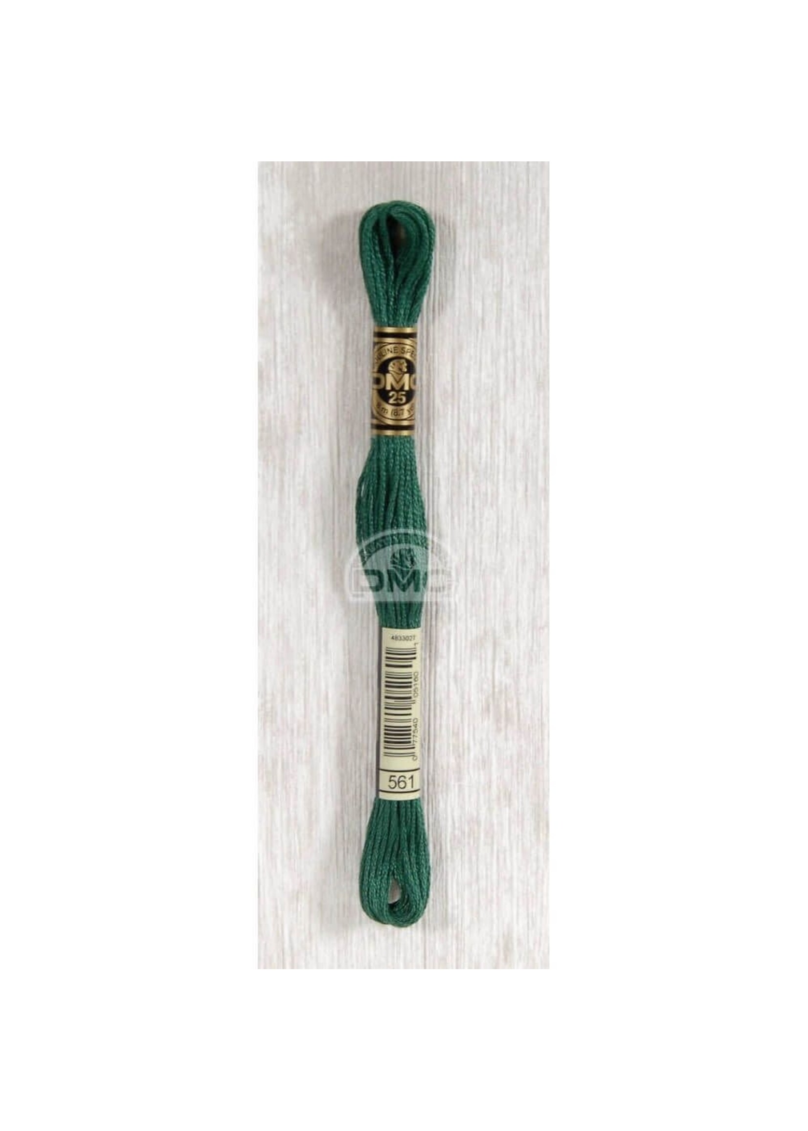 DMC DMC Mouliné Splijtzijde - Groen (0561)