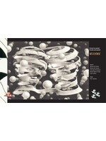 Puzzelman Puzzelman puzzel Band - M.C. Escher (1000 stukjes )