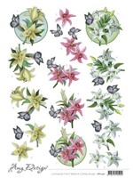Amy Design 3D Cutting Sheet - Amy Design - Lily